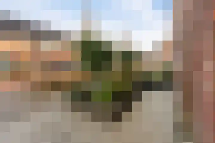 Lijnpad 52 IJsselmuiden thumbnail 8