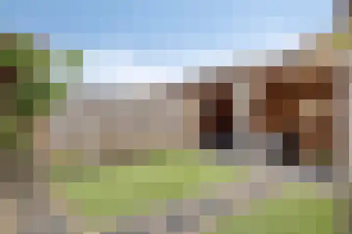 Lijnpad 61 IJsselmuiden thumbnail 22