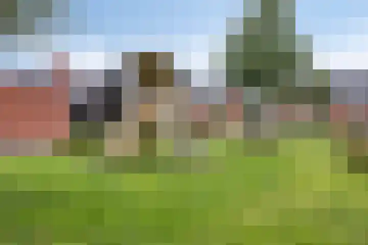 Lijnpad 61 IJsselmuiden thumbnail 46