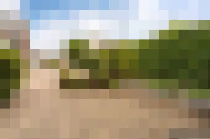 Lijnpad 65 IJsselmuiden thumbnail 11