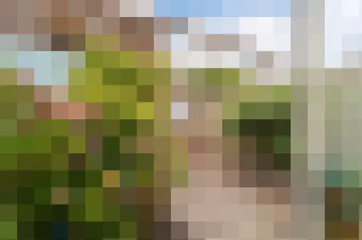 Lijnpad 65 IJsselmuiden thumbnail 26