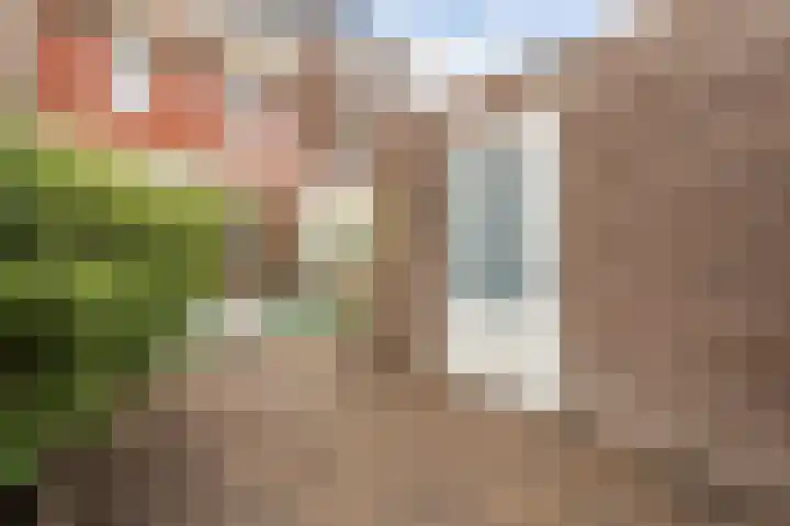 Lijnpad 65 IJsselmuiden thumbnail 5