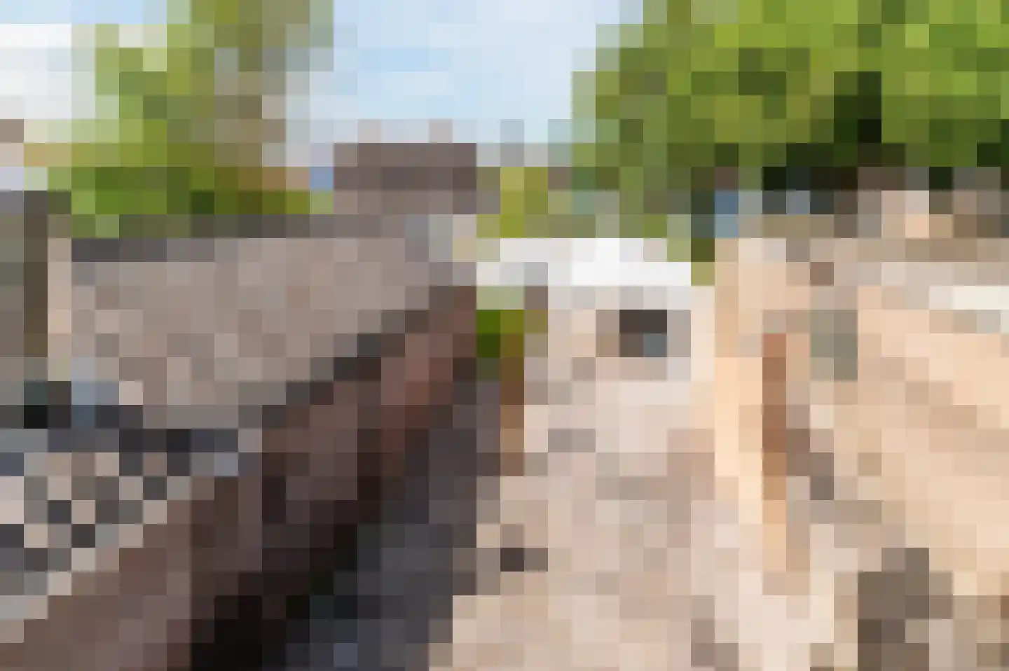 Lijnsheike 18 Tilburg thumbnail 13