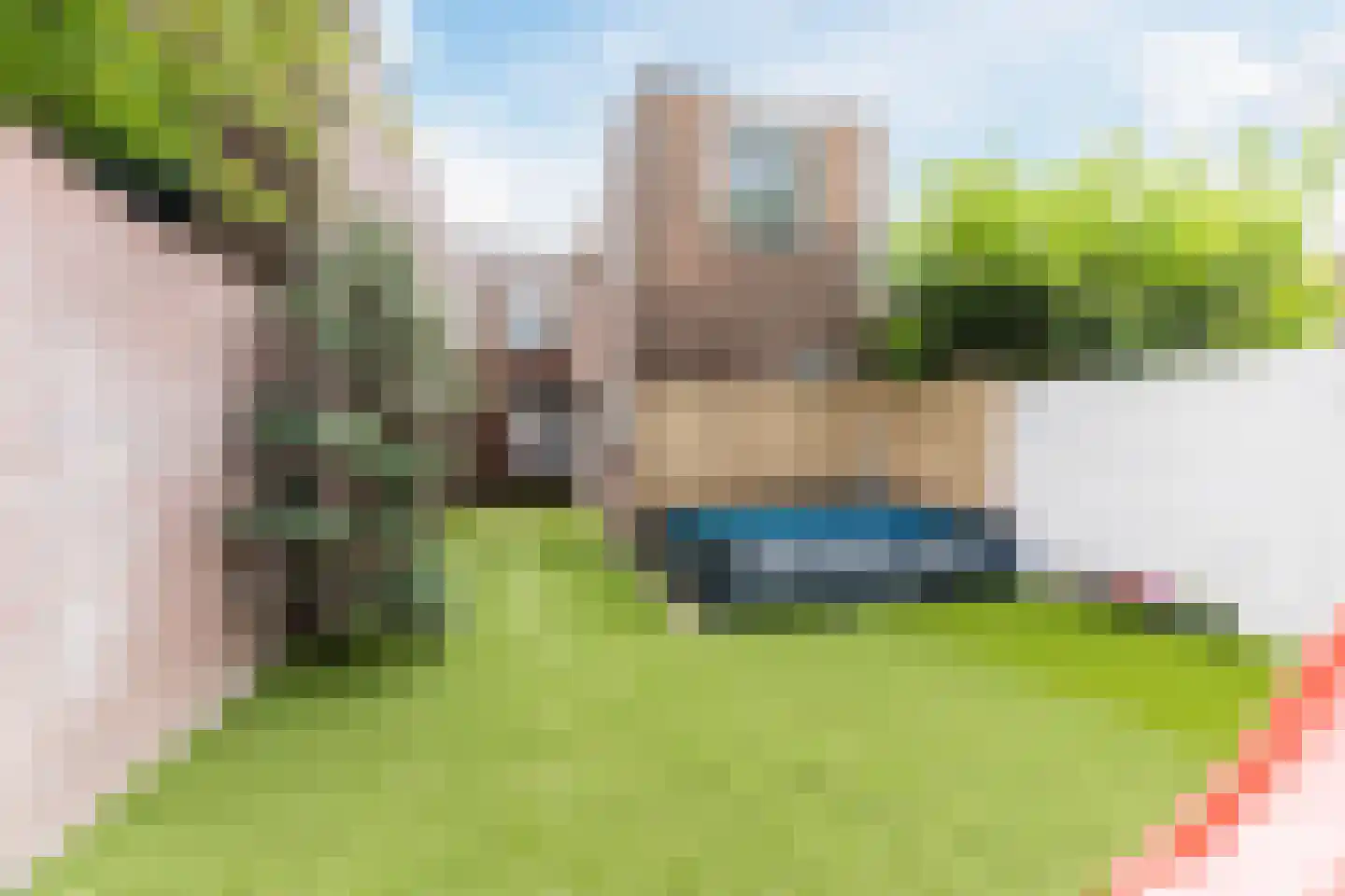 Lijnsheike 18 Tilburg thumbnail 15