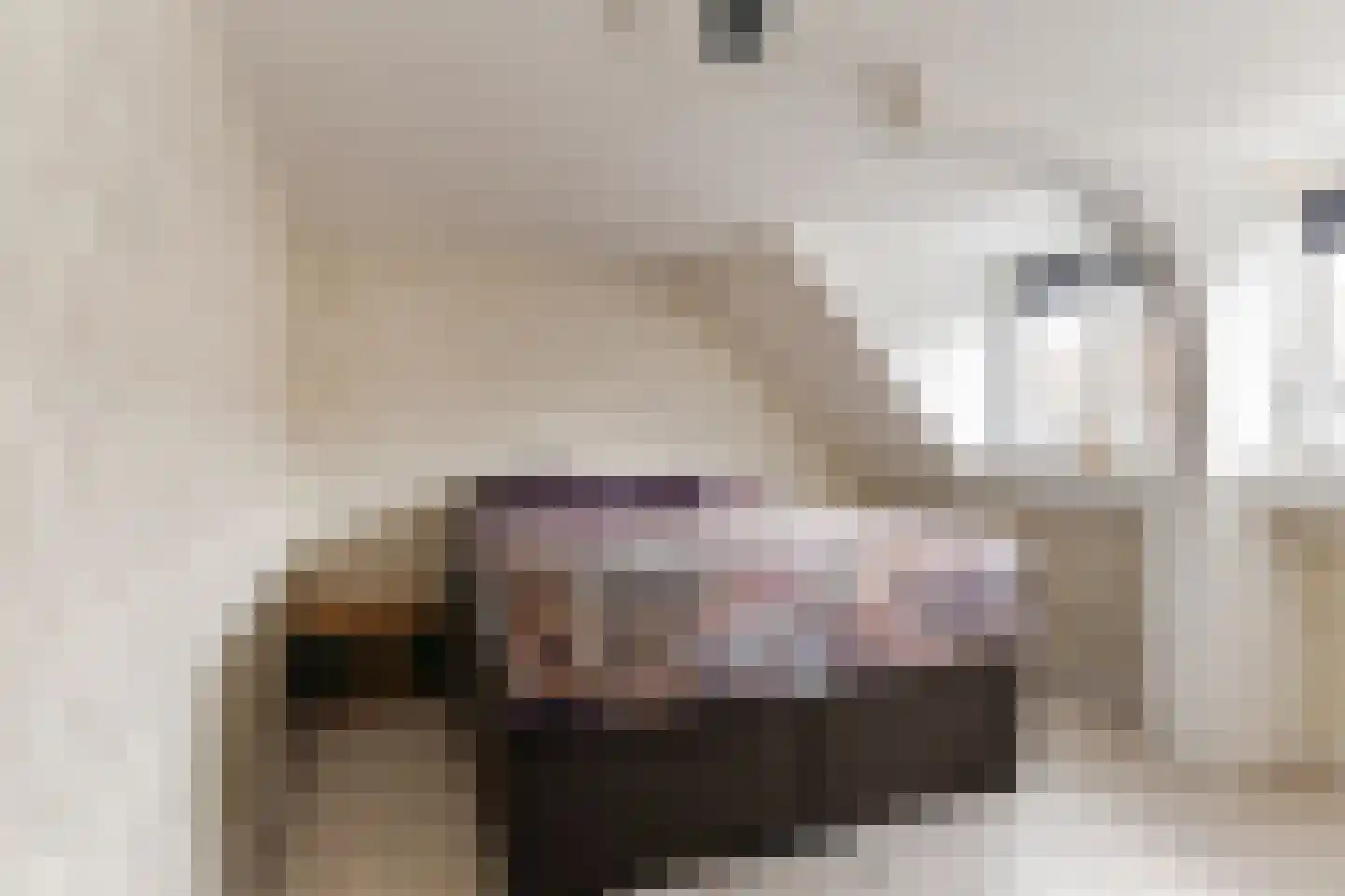 Lijnsheike 18 Tilburg thumbnail 17