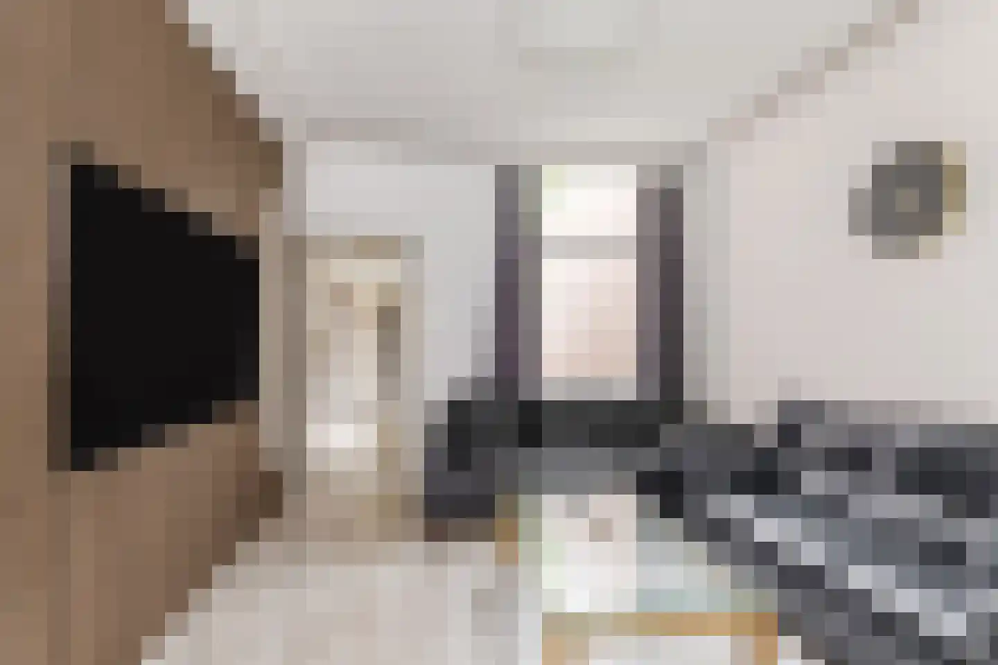 Lijnsheike 18 Tilburg thumbnail 5