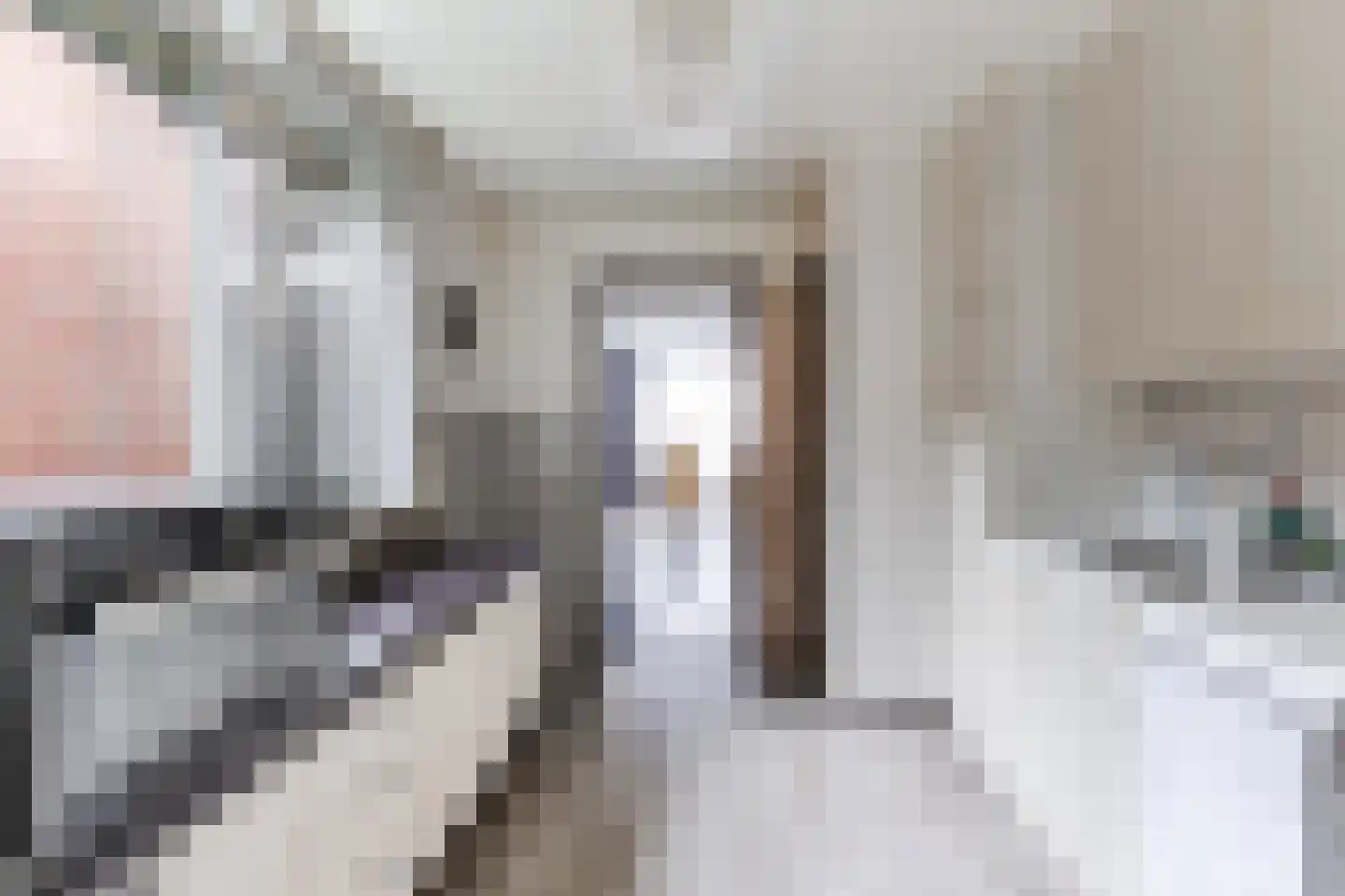 Lijnsheike 18 Tilburg thumbnail 7