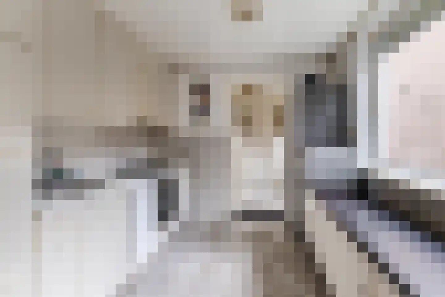 Lijnsheike 18 Tilburg thumbnail 8