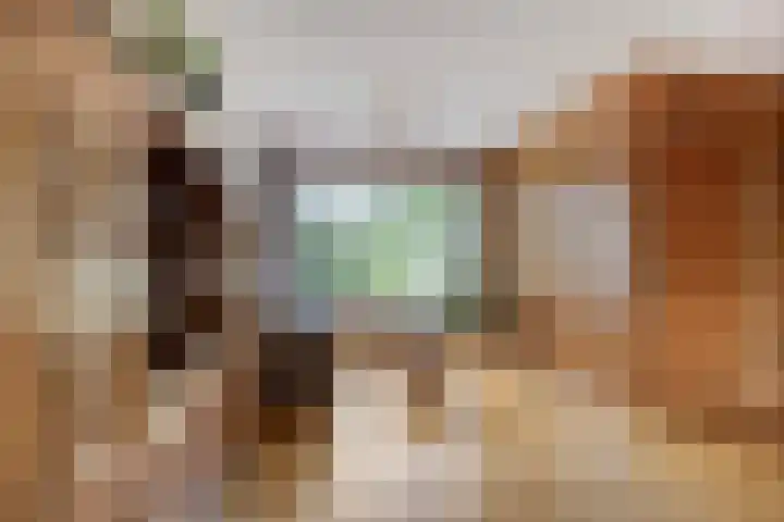 Lijntjesstraat 7 Asten thumbnail 12