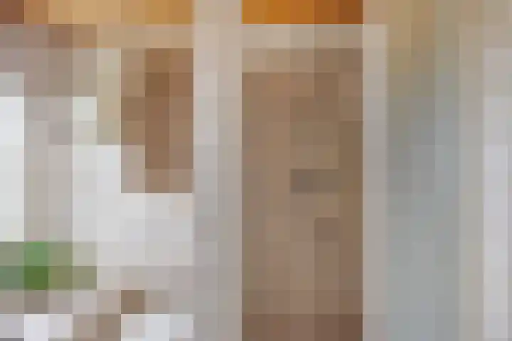 Lijntjesstraat 7 Asten thumbnail 20