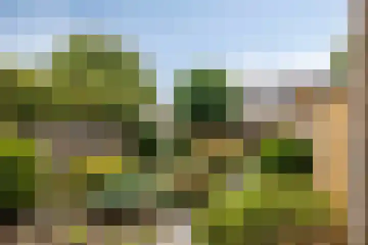 Lijntjesstraat 7 Asten thumbnail 26