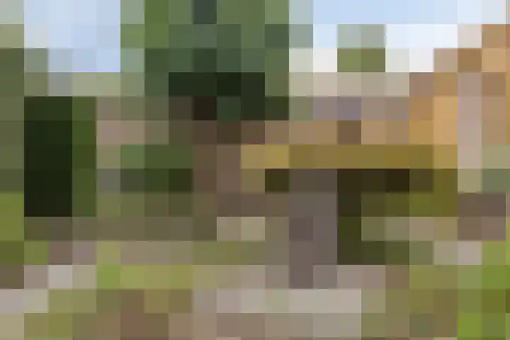 Lijntjesstraat 7 Asten thumbnail 27