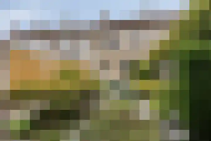Lijntjesstraat 7 Asten thumbnail 28