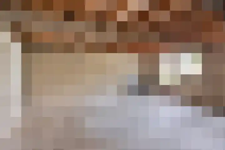 Lijntjesstraat 7 Asten thumbnail 29