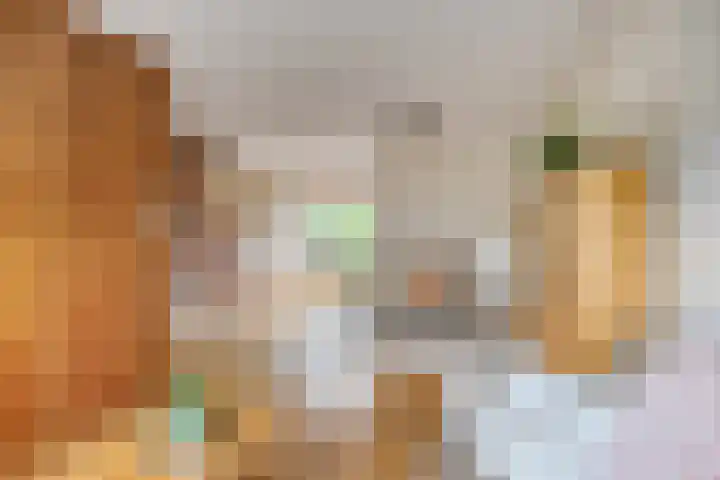 Lijntjesstraat 7 Asten thumbnail 9