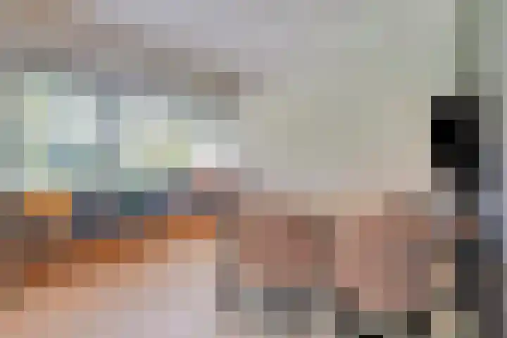 Lijntstraat 8 Bergeijk thumbnail 11