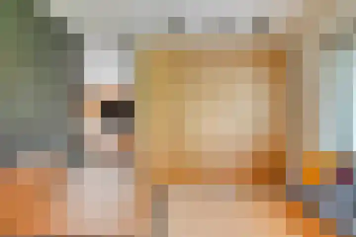 Lijntstraat 8 Bergeijk thumbnail 12