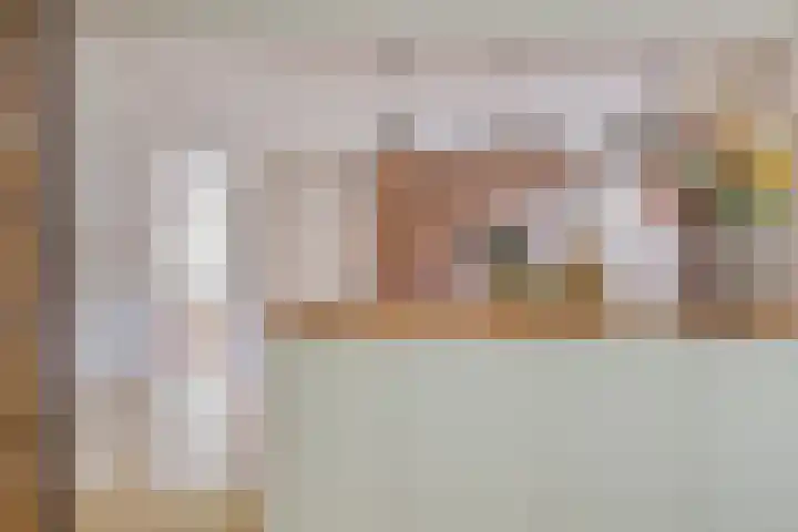 Lijntstraat 8 Bergeijk thumbnail 14