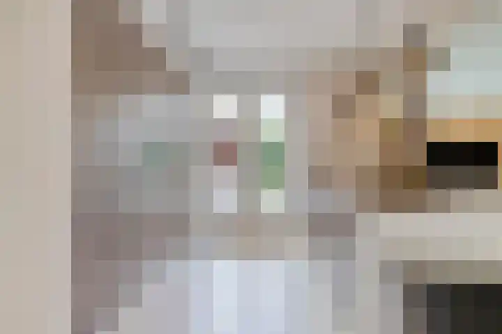 Lijntstraat 8 Bergeijk thumbnail 15