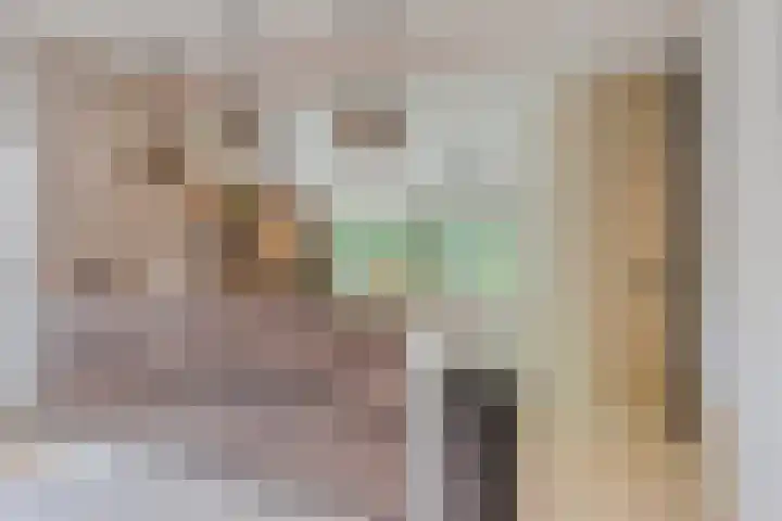Lijntstraat 8 Bergeijk thumbnail 16