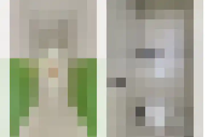 Lijntstraat 8 Bergeijk thumbnail 22
