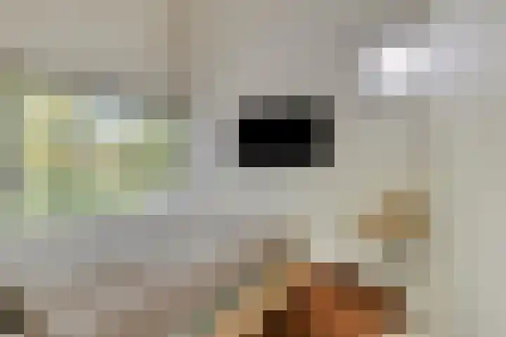Lijntstraat 8 Bergeijk thumbnail 23