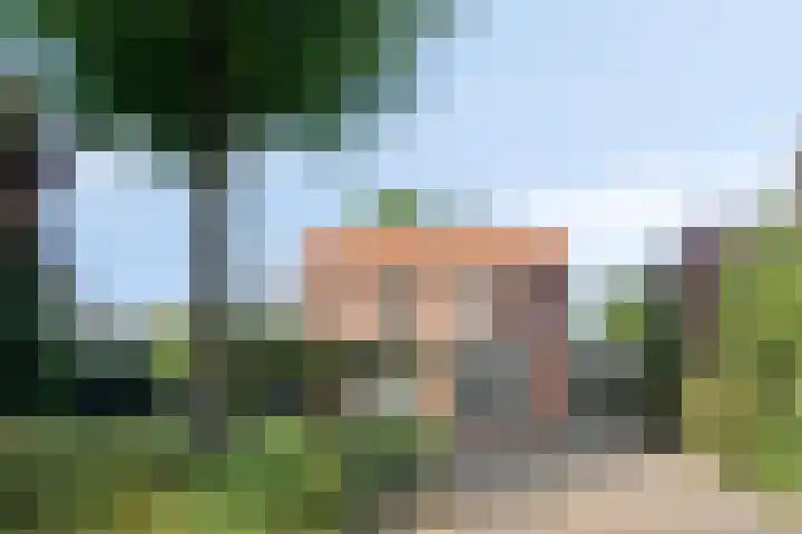 Lijntstraat 8 Bergeijk thumbnail 4
