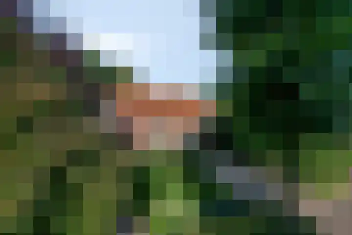 Lijntstraat 8 Bergeijk thumbnail 44