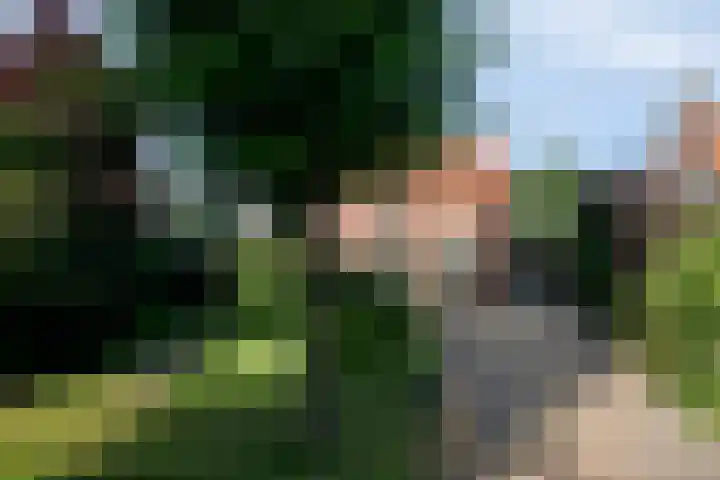 Lijntstraat 8 Bergeijk thumbnail 45