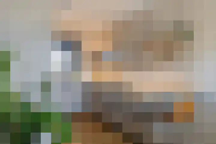 Lijnvaart 7 Krimpen aan den IJssel thumbnail 14