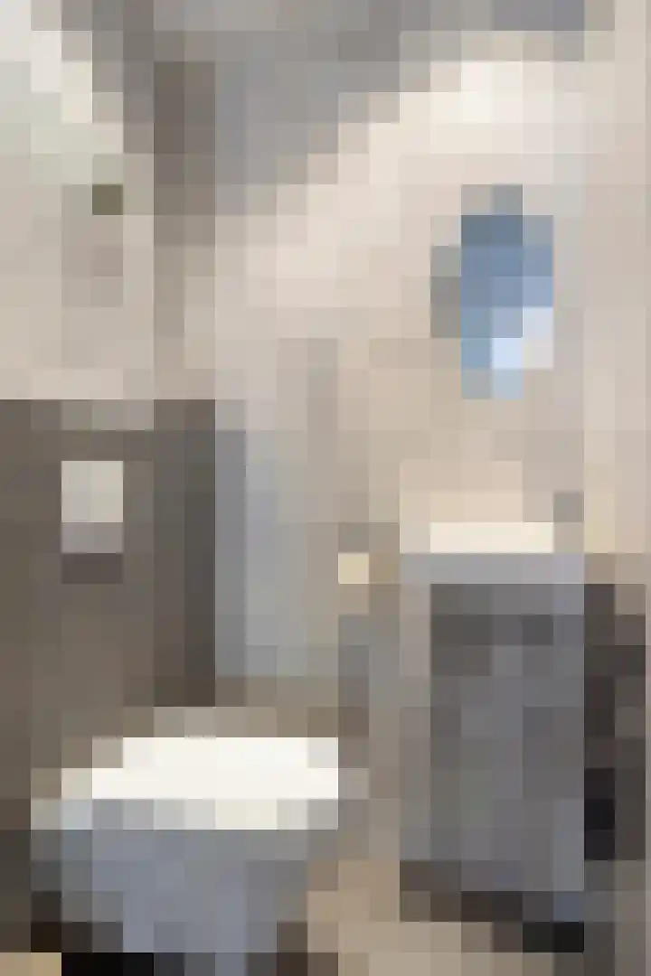 Lijnvaart 7 Krimpen aan den IJssel thumbnail 17