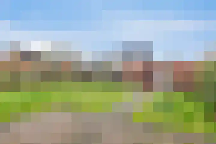 Lijnzaadstraat 1 Koewacht thumbnail 12