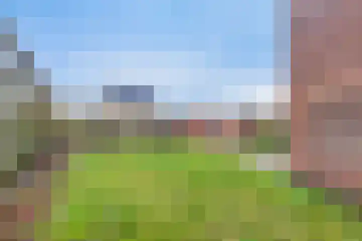 Lijnzaadstraat 1 Koewacht thumbnail 13