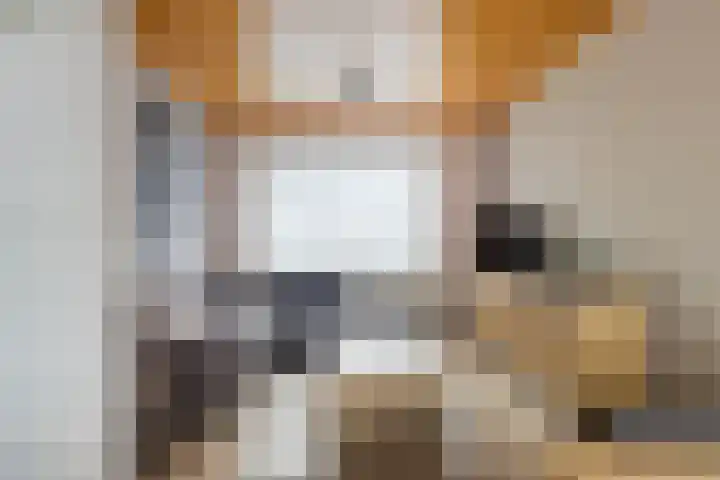 Lijnzaadstraat 1 Koewacht thumbnail 5