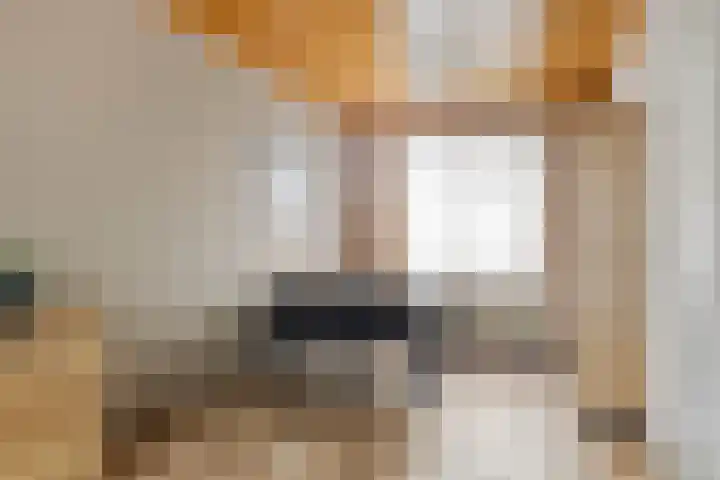 Lijnzaadstraat 1 Koewacht thumbnail 6