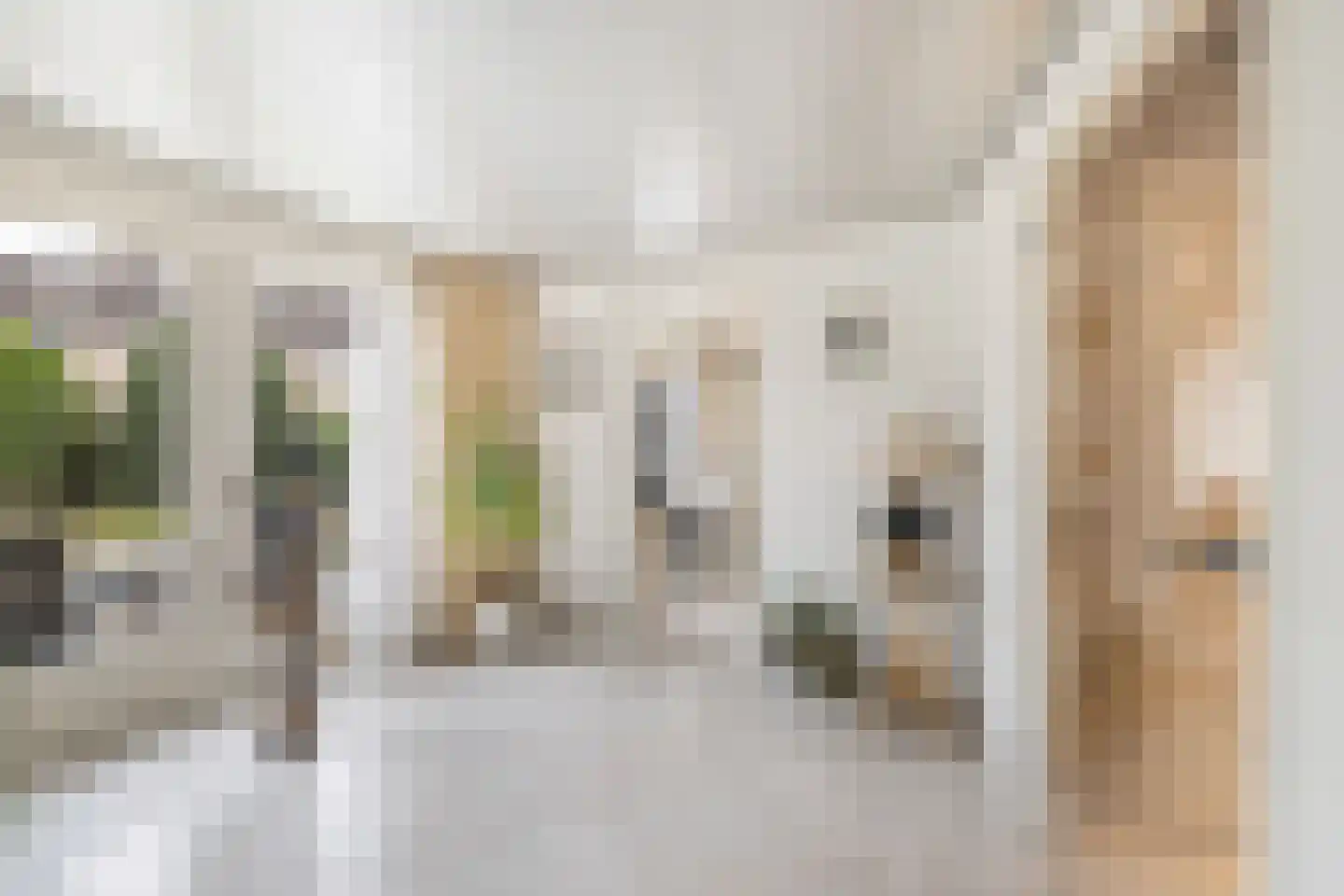 Lijnzaadstraat 1 Zuidland thumbnail 10