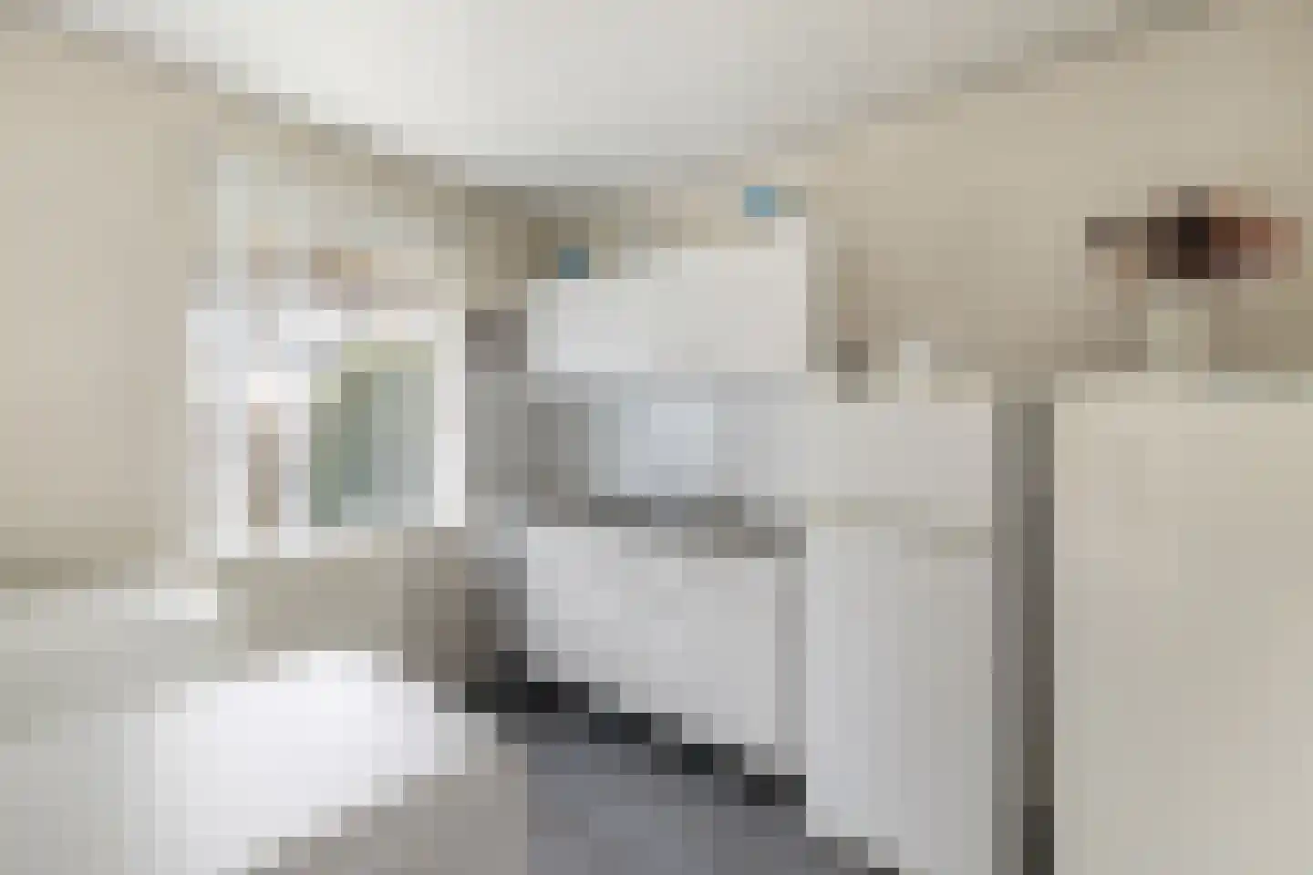 Lijnzaadstraat 1 Zuidland thumbnail 13