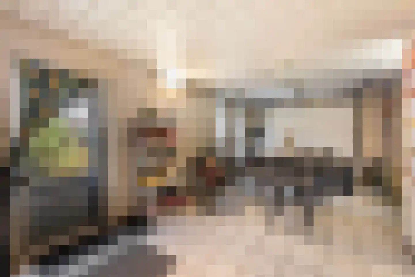 Lijnzaadstraat 1 Zuidland thumbnail 14