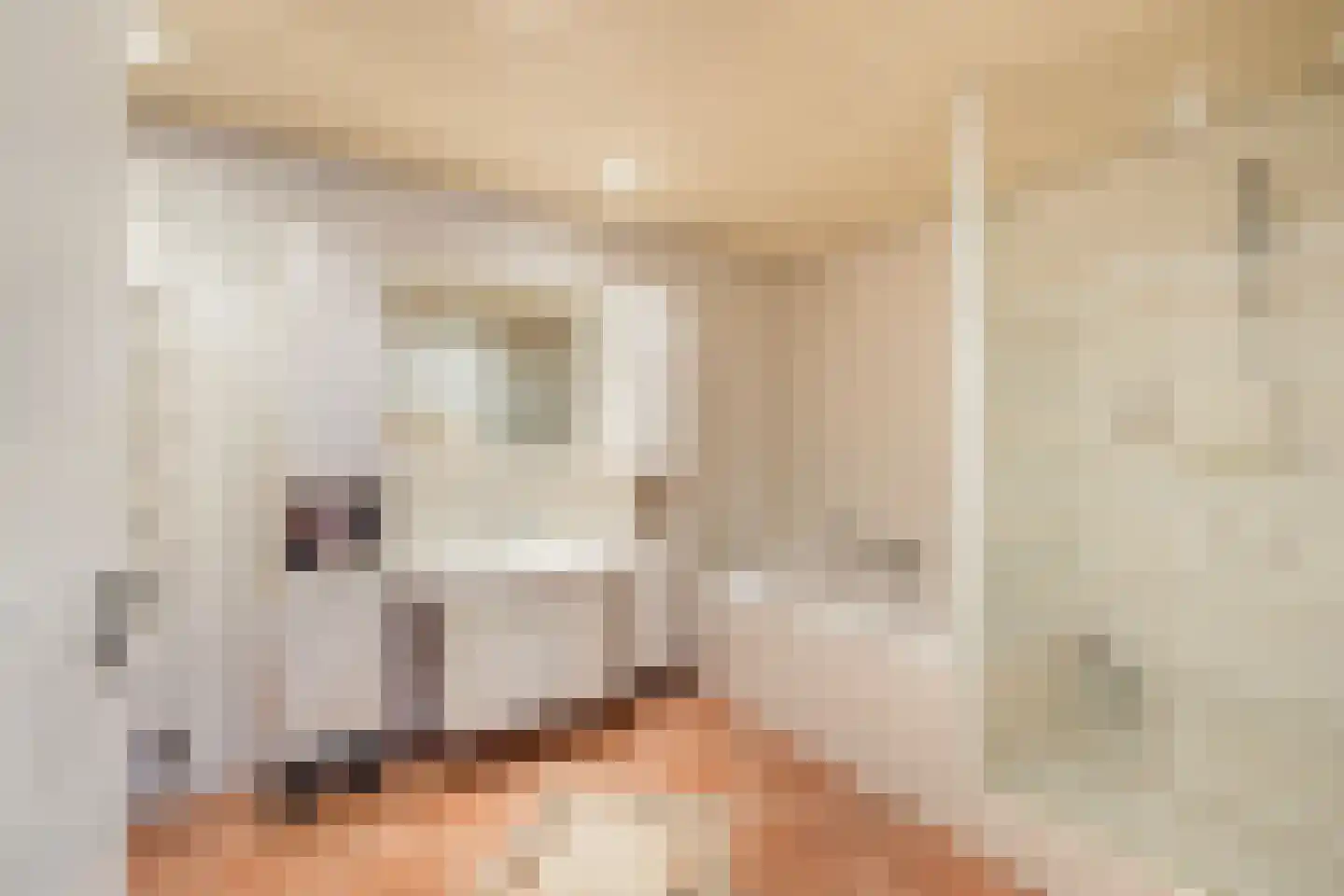 Lijnzaadstraat 1 Zuidland thumbnail 21