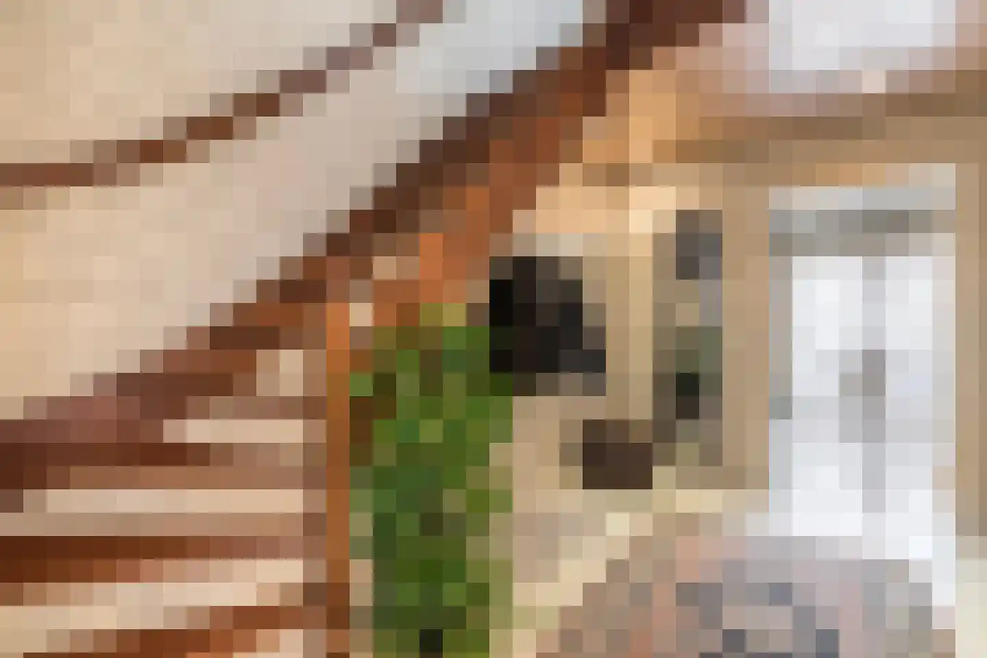 Lijnzaadstraat 1 Zuidland thumbnail 24