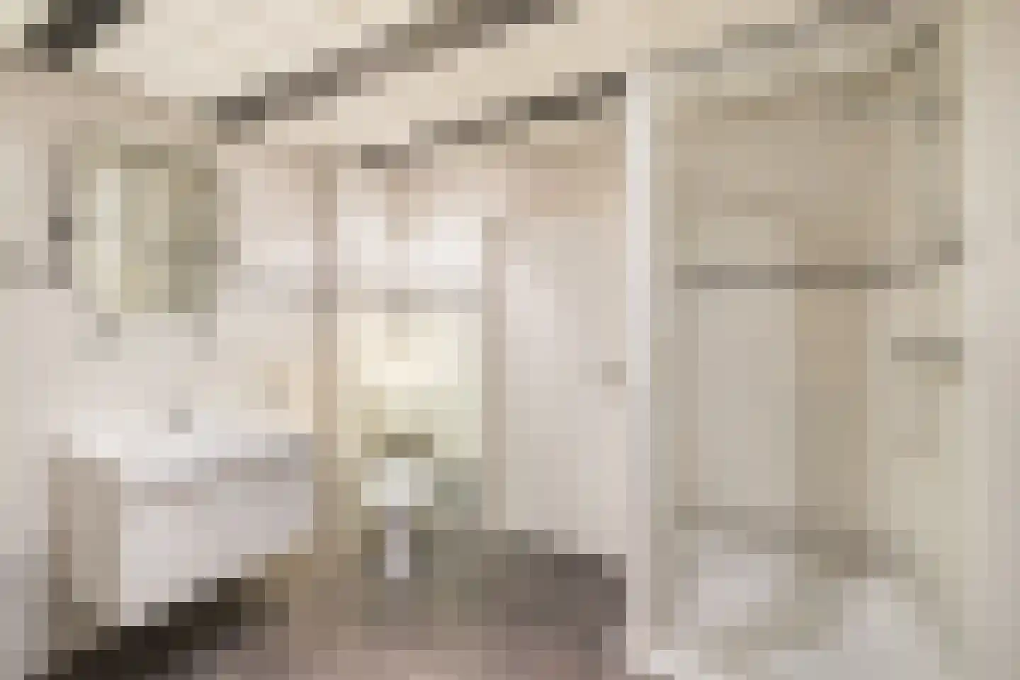 Lijnzaadstraat 1 Zuidland thumbnail 33