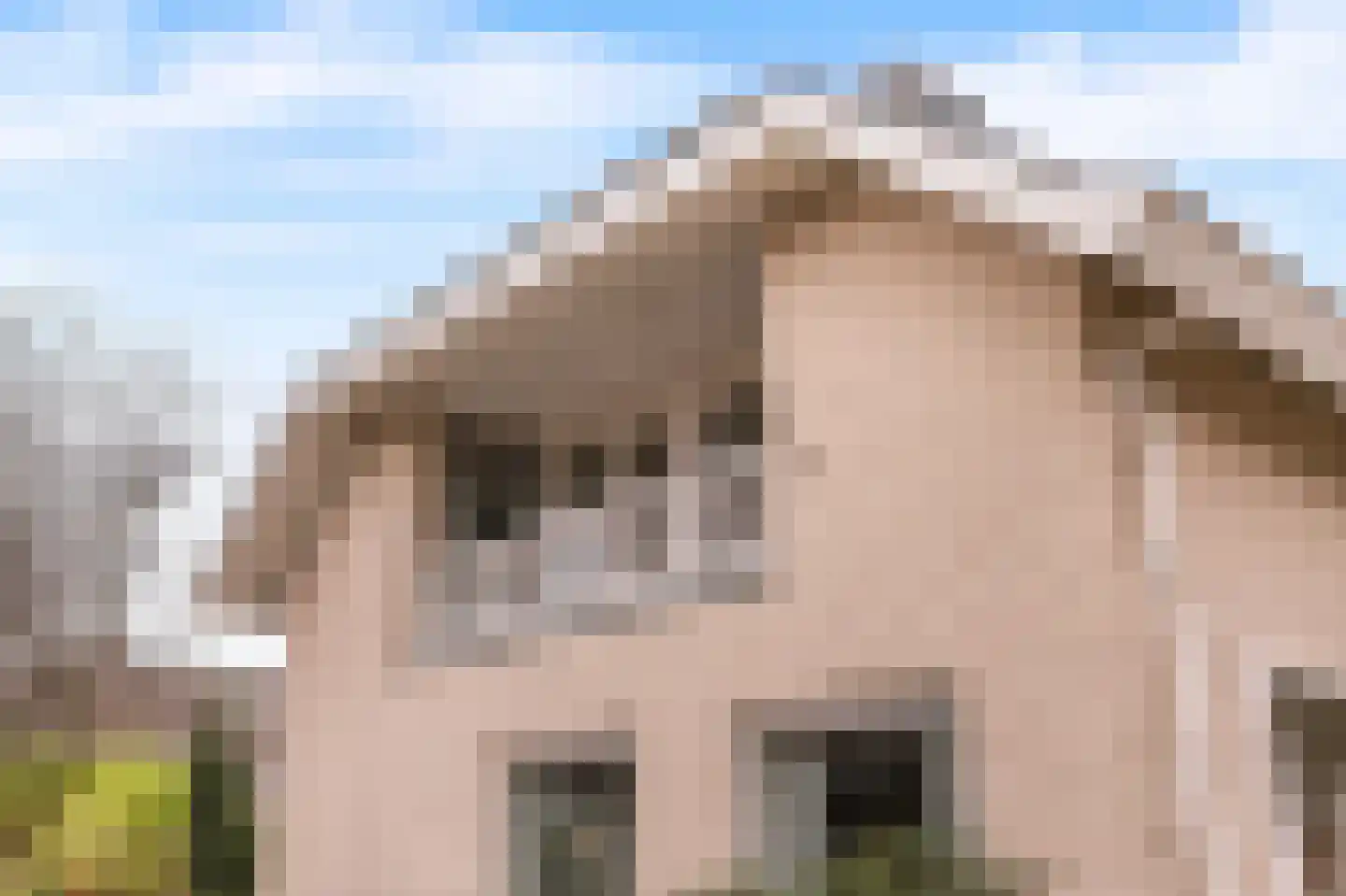 Lijnzaadstraat 1 Zuidland thumbnail 39