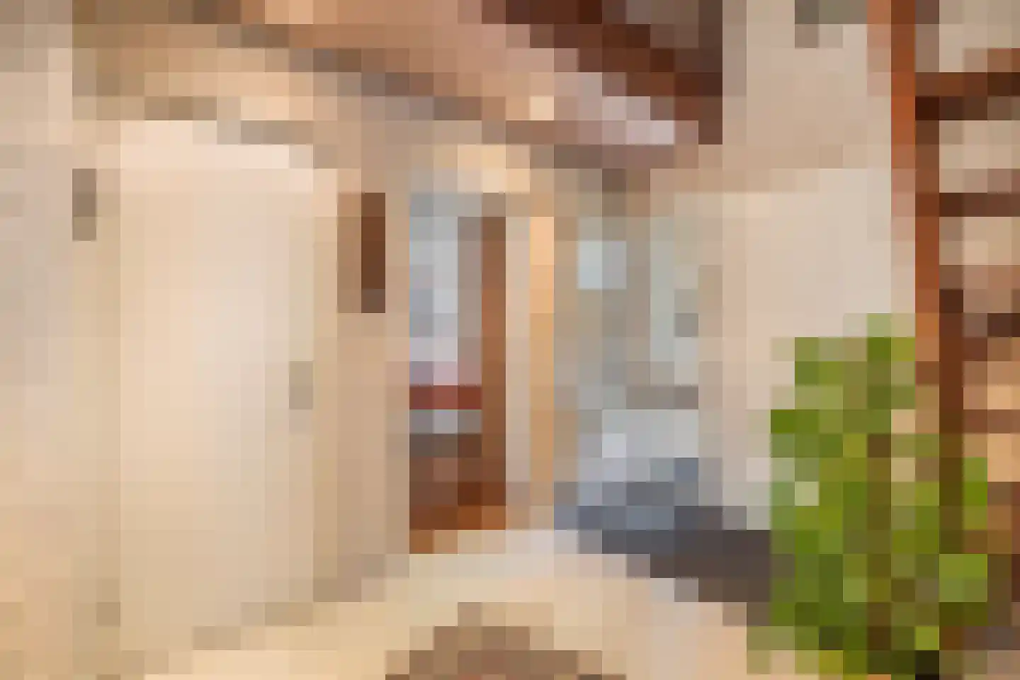 Lijnzaadstraat 1 Zuidland thumbnail 4