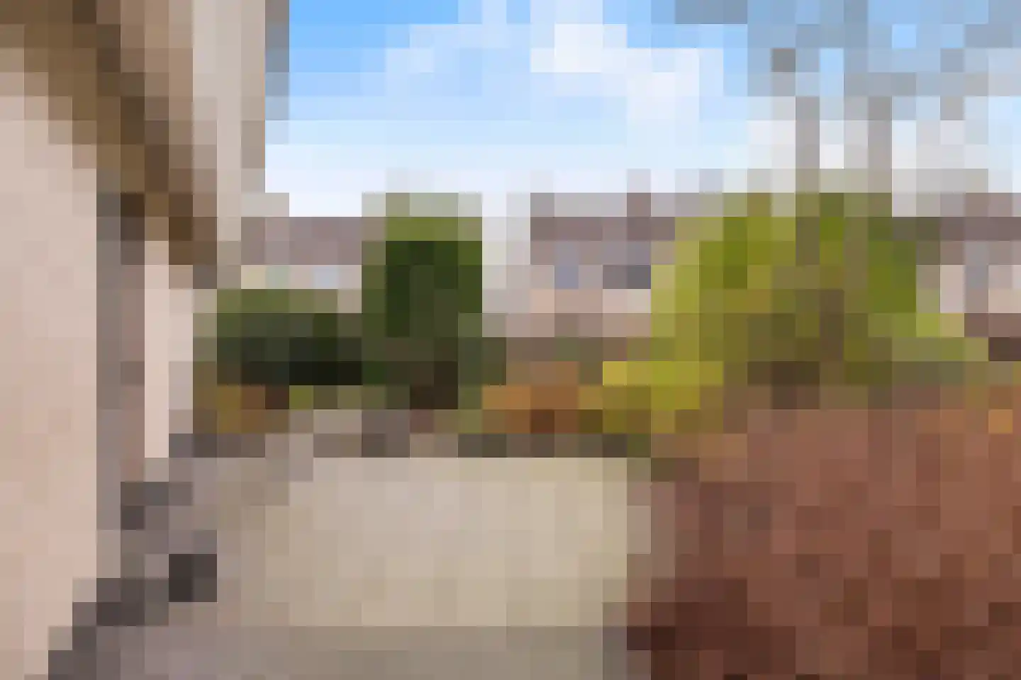 Lijnzaadstraat 1 Zuidland thumbnail 40
