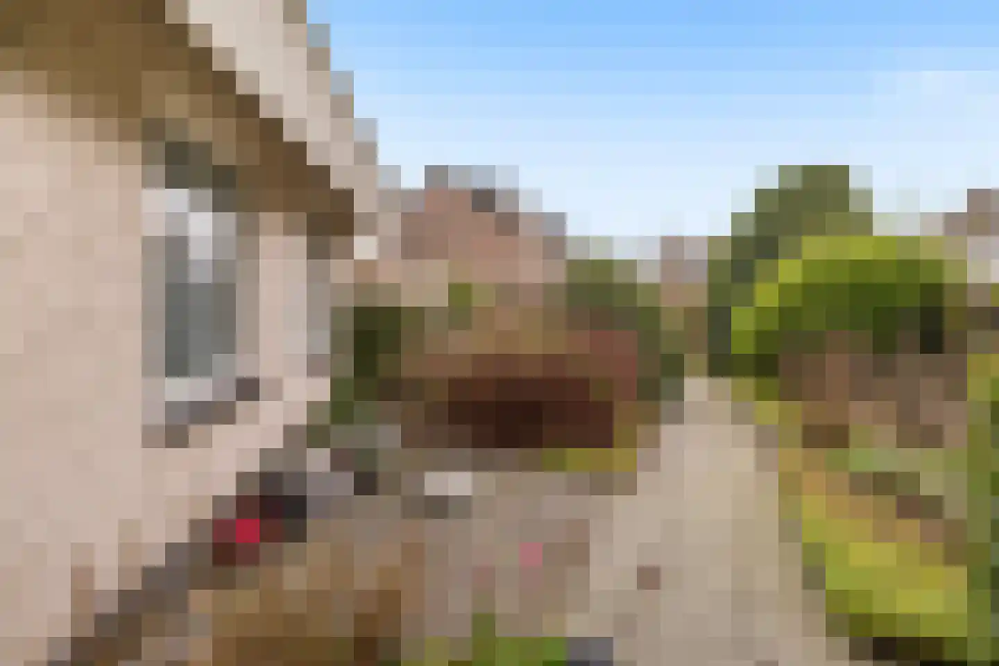 Lijnzaadstraat 1 Zuidland thumbnail 41