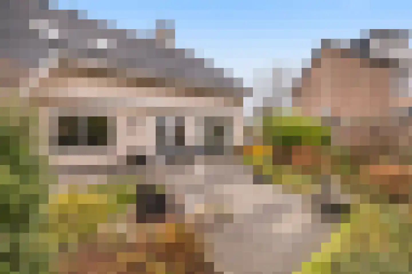 Lijnzaadstraat 1 Zuidland thumbnail 42