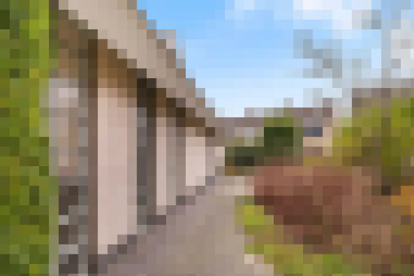 Lijnzaadstraat 1 Zuidland thumbnail 44