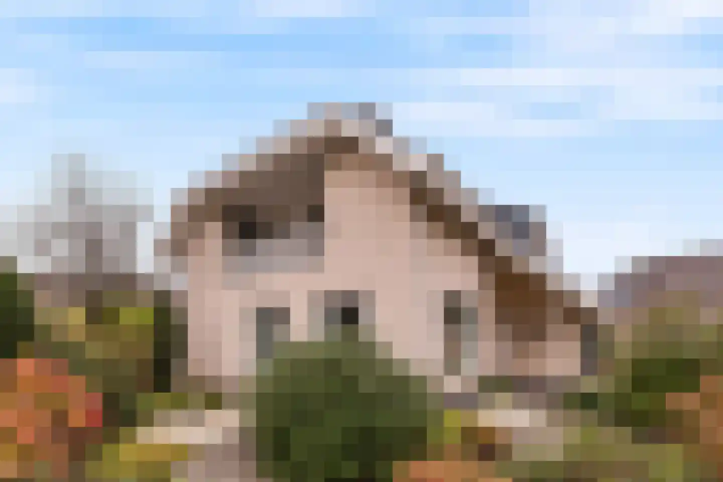 Lijnzaadstraat 1 Zuidland thumbnail 5