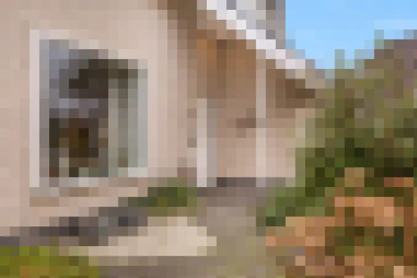 Lijnzaadstraat 1 Zuidland thumbnail 8