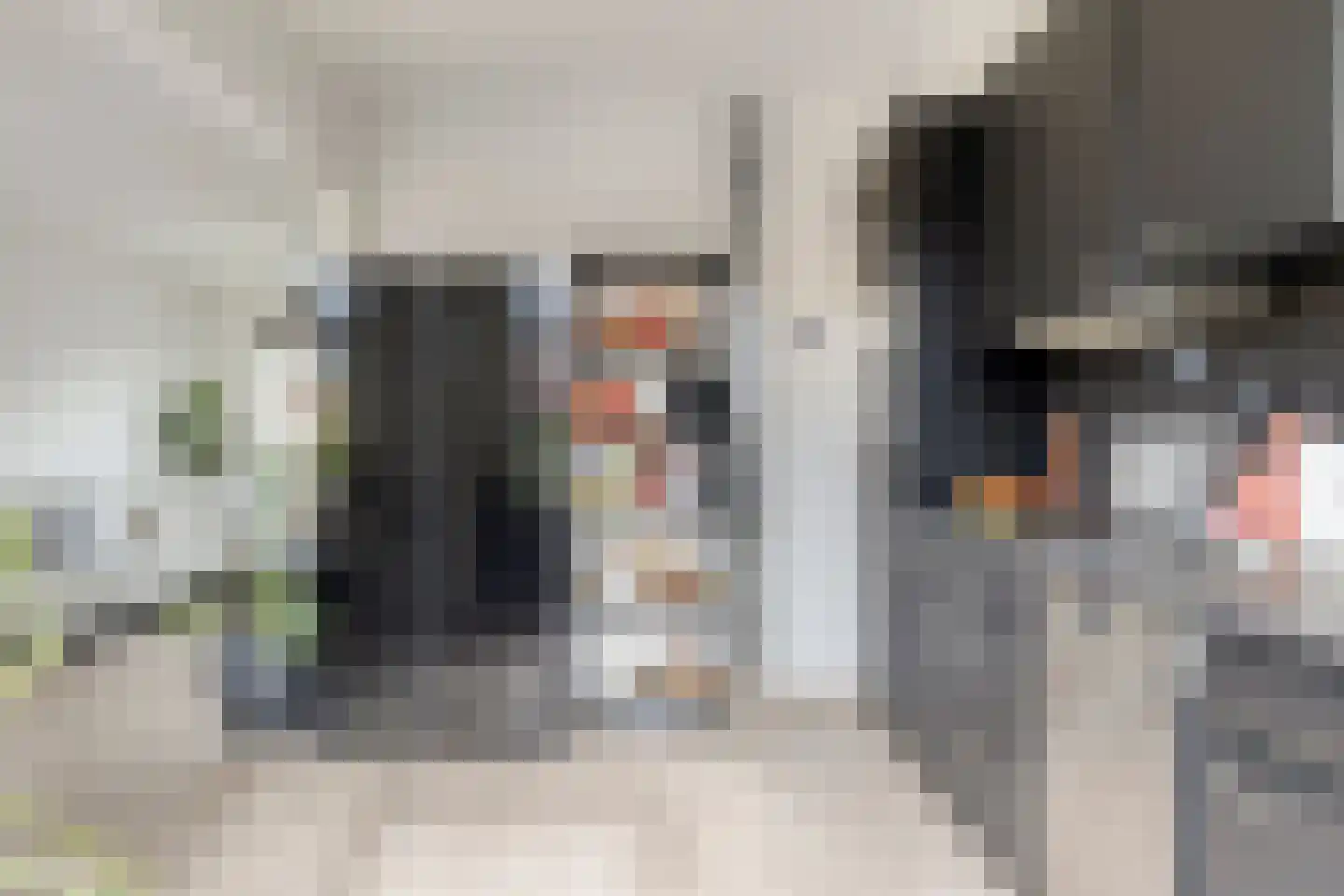 Lijnzaadstraat 10 Koewacht thumbnail 12